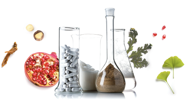 supplement supplement